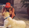 a woman kneeling down next to a dog wearing an Argentina Dog Collar from Zilker Belts.